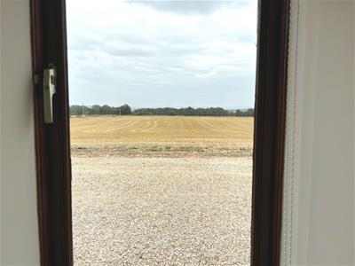 Picture 23